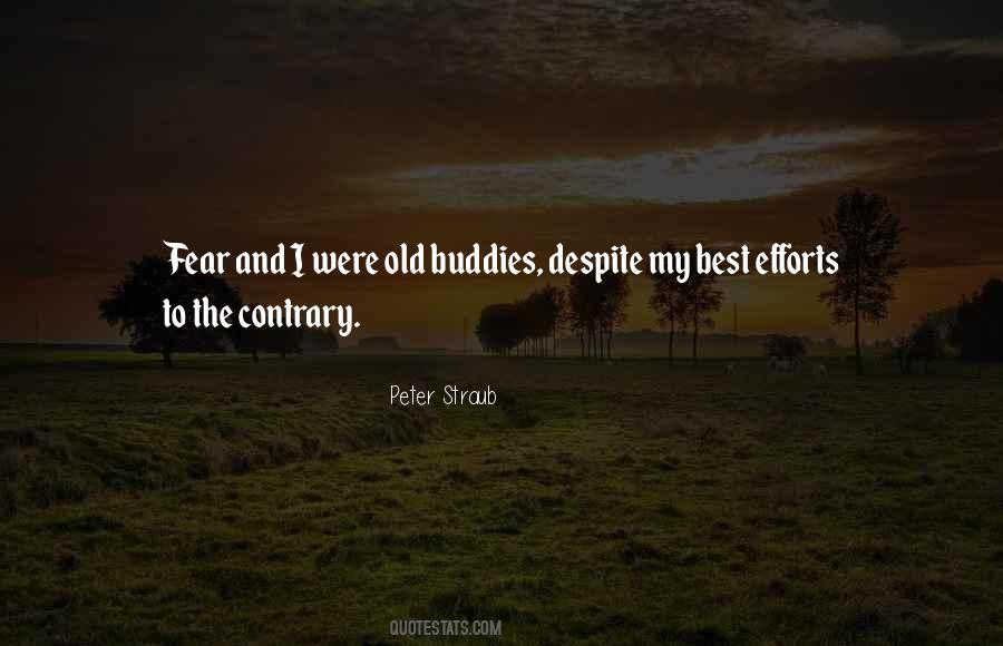 Peter Straub Quotes #82040