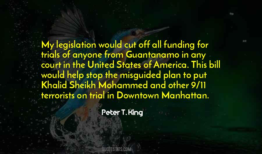 Peter T. King Quotes #1554640