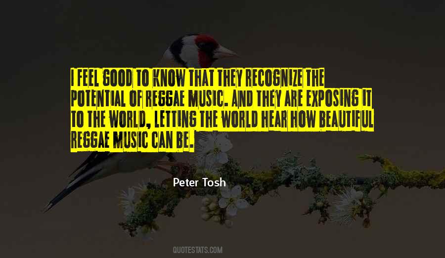 Peter Tosh Quotes #701167