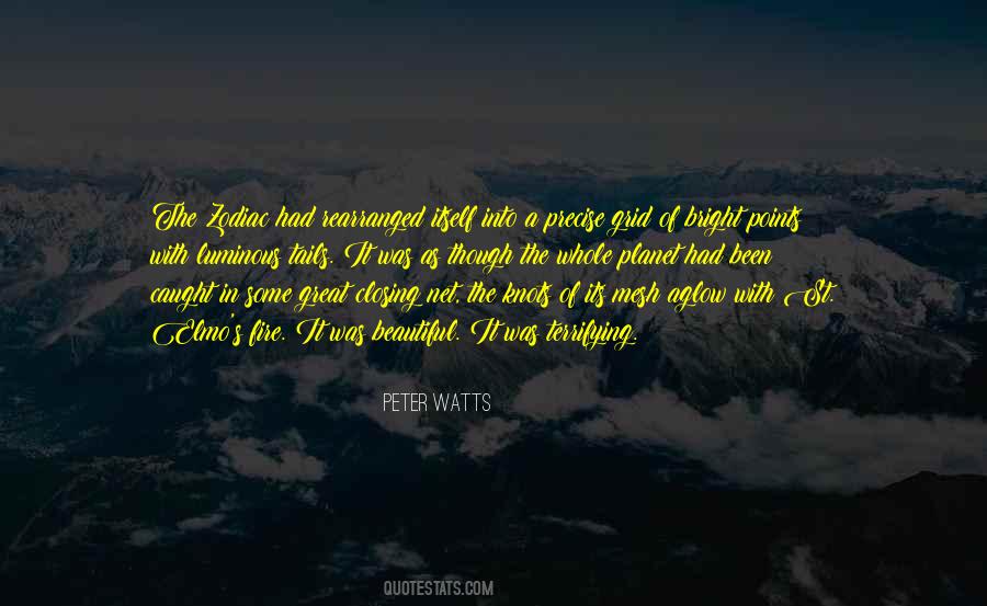 Peter Watts Quotes #1105822