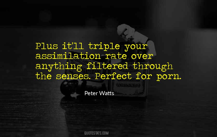 Peter Watts Quotes #1664894