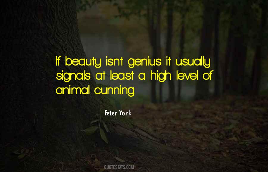 Peter York Quotes #1000590
