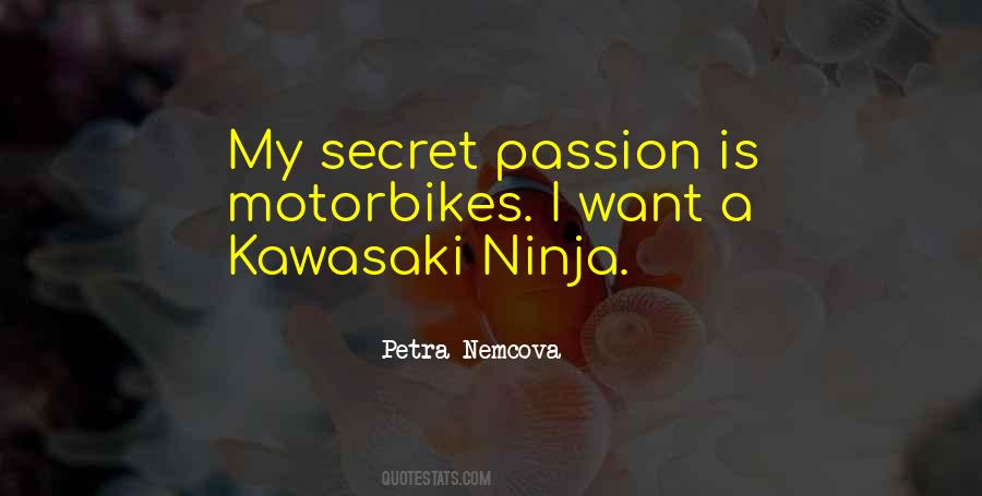 Petra Nemcova Quotes #708041