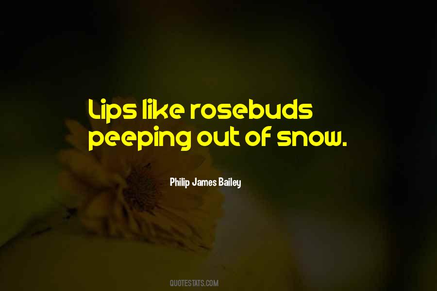 Philip James Bailey Quotes #1089621 Philip James Bailey Quotes #1089621