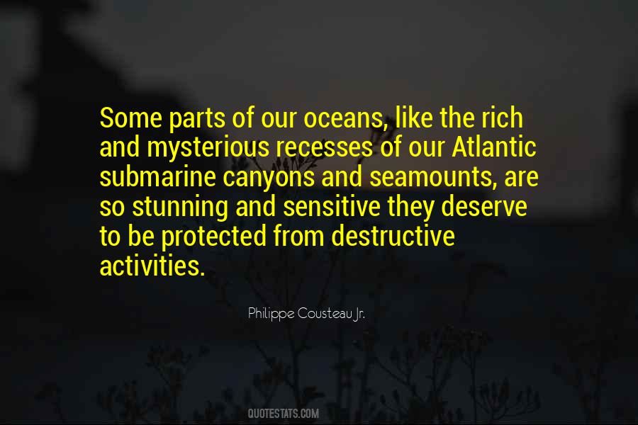 Philippe Cousteau Jr. Quotes #1406646