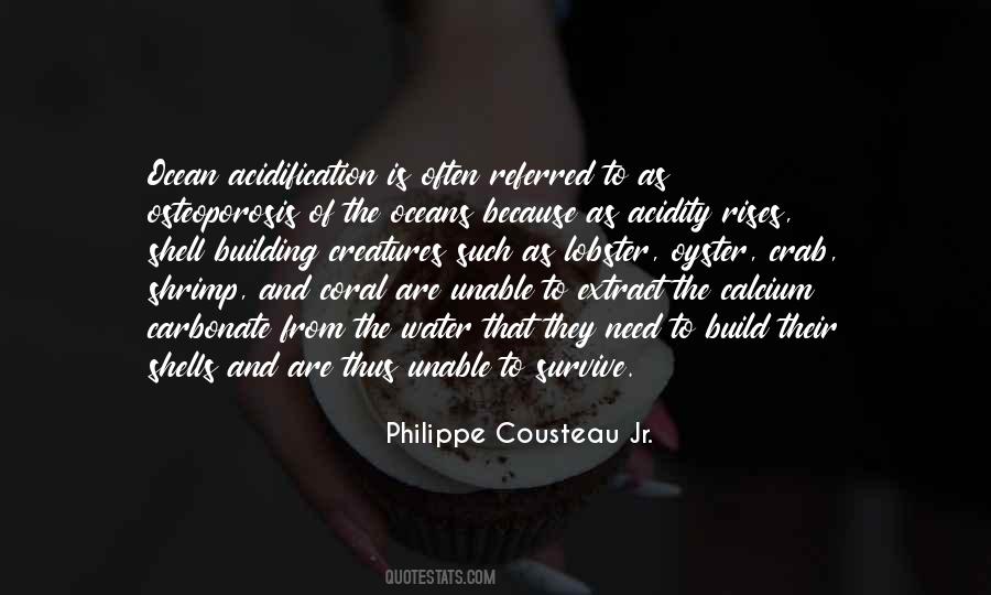 Philippe Cousteau Jr. Quotes #829671