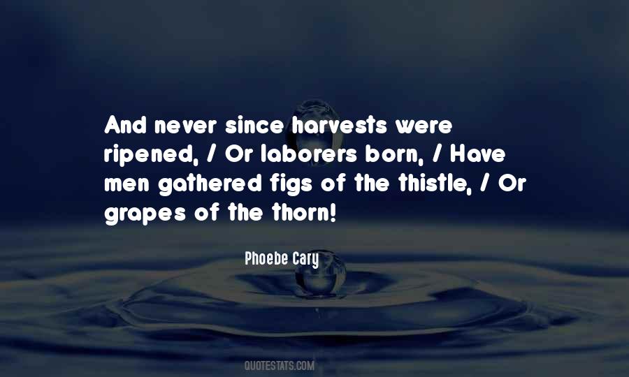 Phoebe Cary Quotes #339555