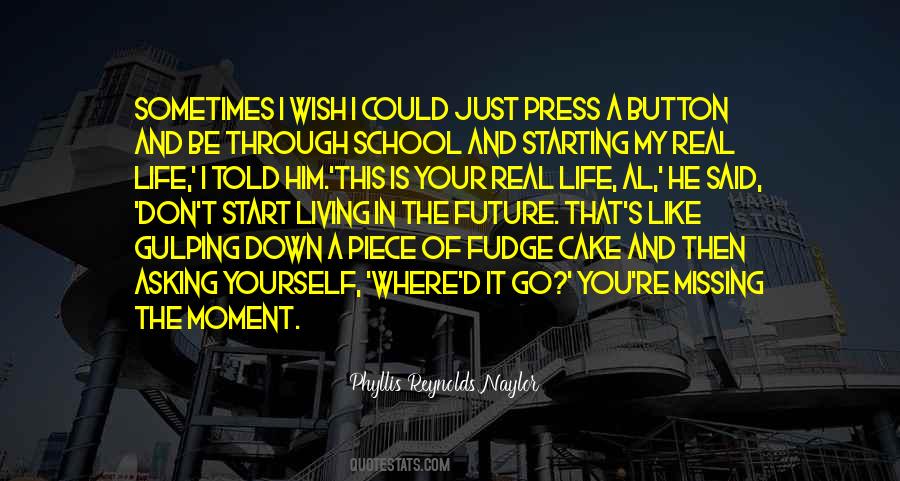 Phyllis Reynolds Naylor Quotes #935043