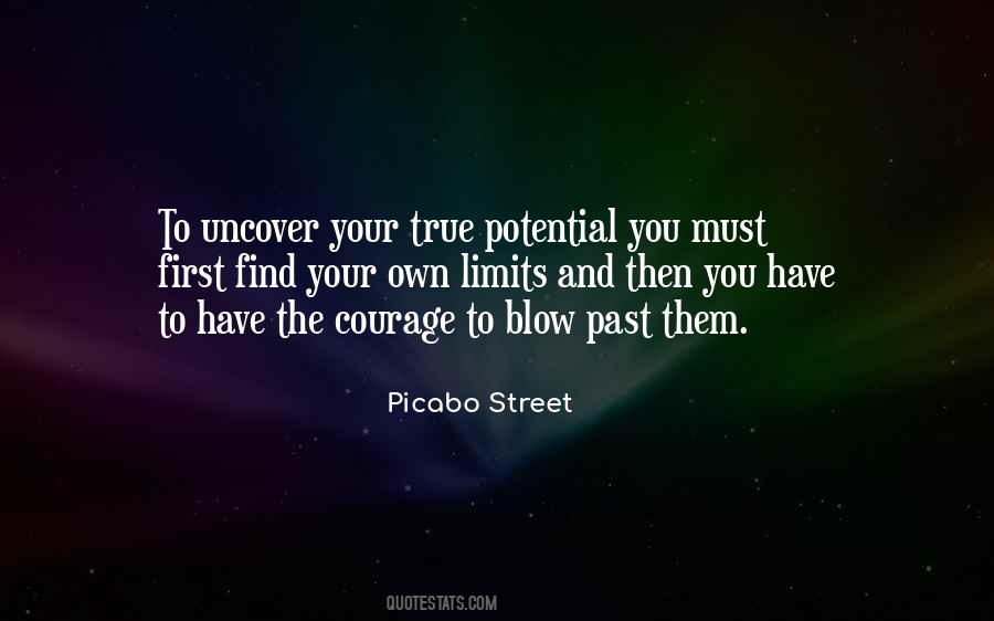 Picabo Street Quotes #275296