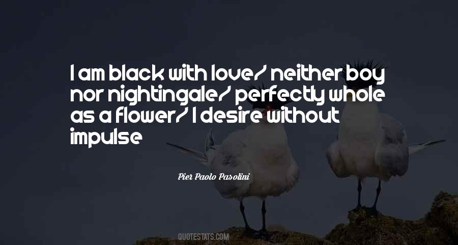 Pier Paolo Pasolini Quotes #1632129