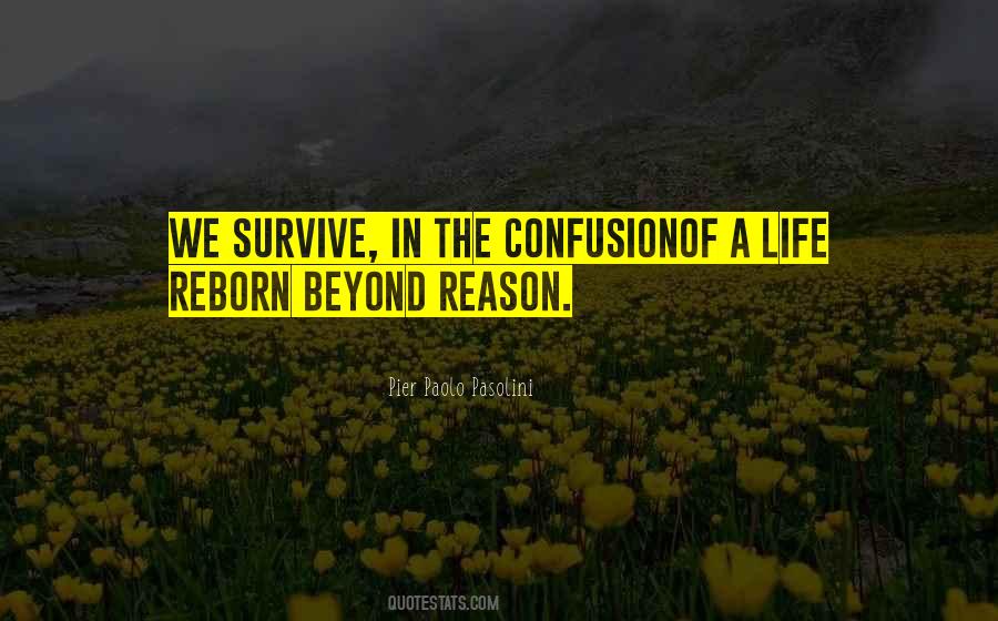 Pier Paolo Pasolini Quotes #43246