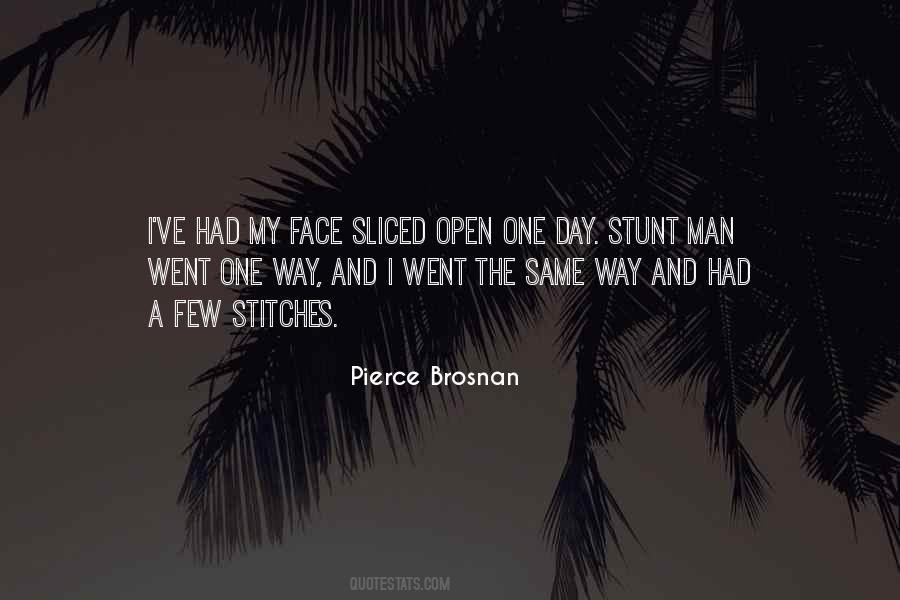 Pierce Brosnan Quotes #1654015