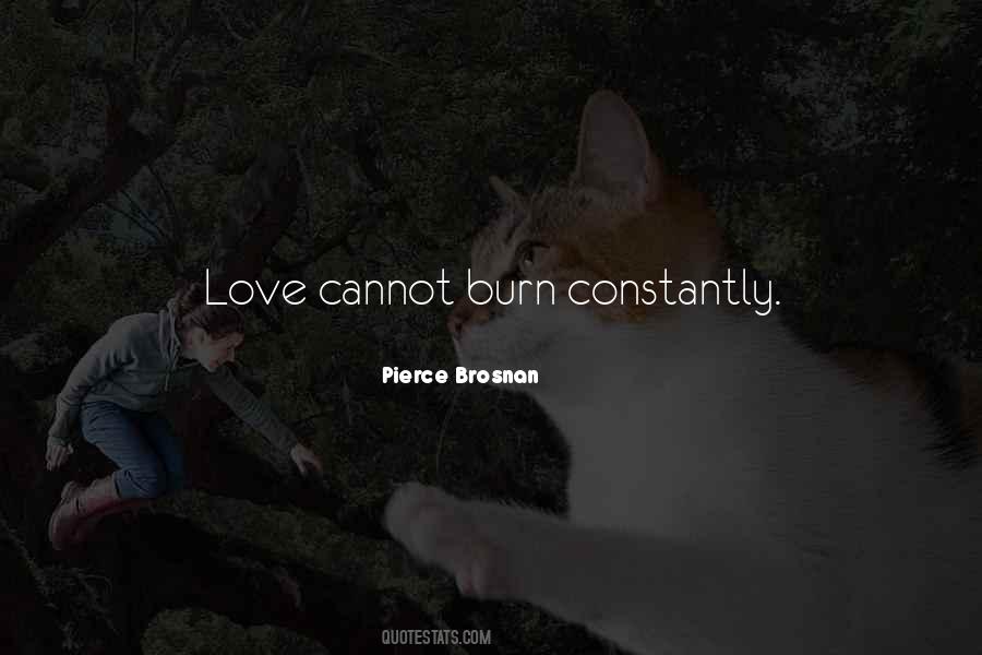 Pierce Brosnan Quotes #1778399