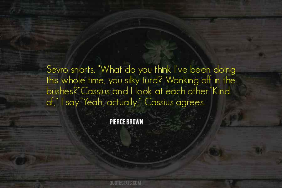 Pierce Brown Quotes #1802485