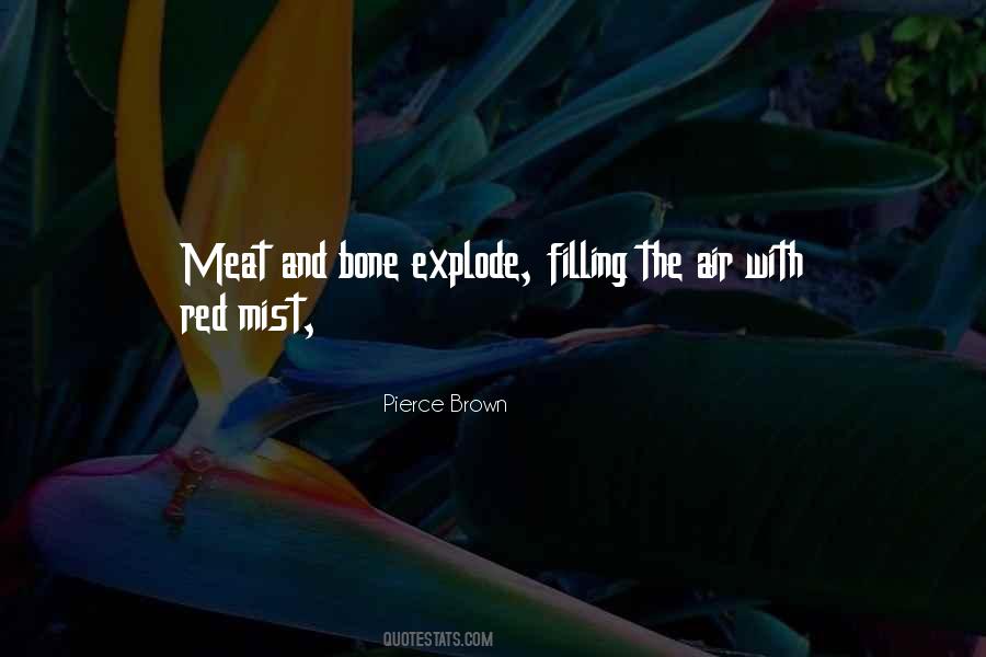 Pierce Brown Quotes #480346
