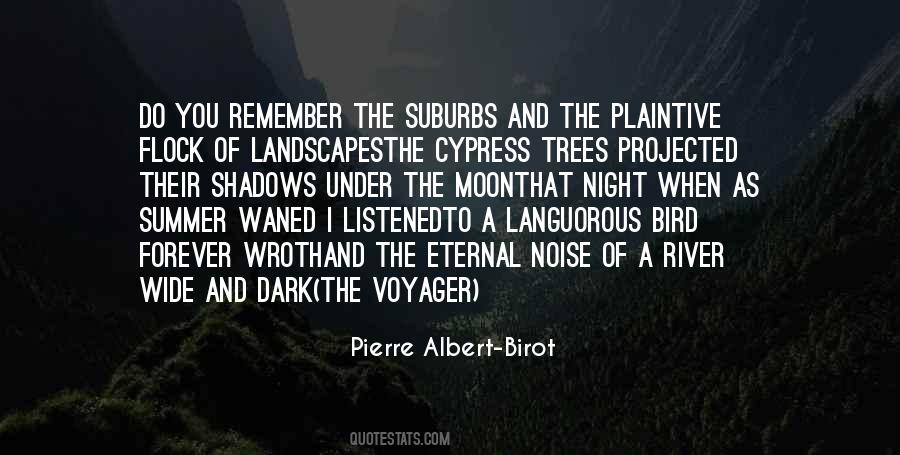 Pierre Albert-Birot Quotes #1575123