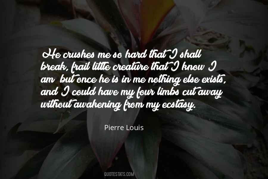 Pierre Louis Quotes #1379350 Pierre Louis Quotes #1379350
