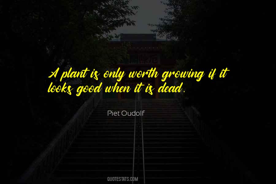 Piet Oudolf Quotes #1478739