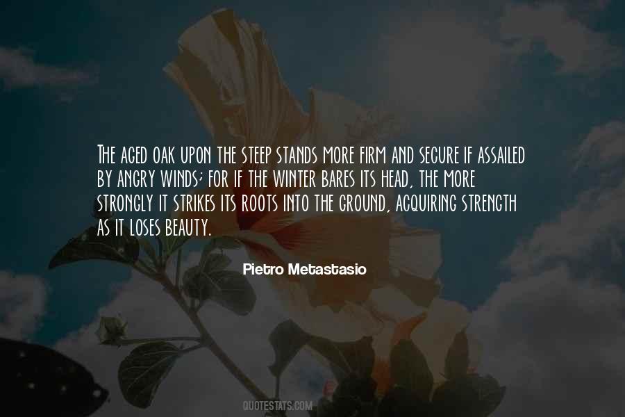 Pietro Metastasio Quotes #616757