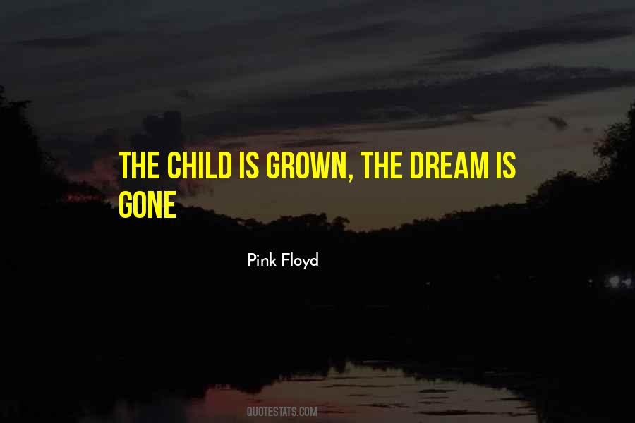 Pink Floyd Quotes #279338