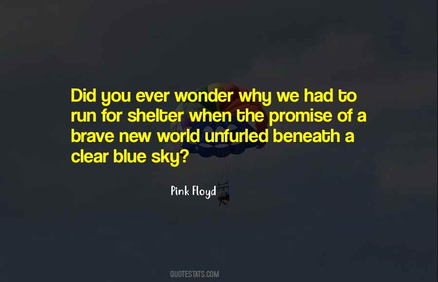 Pink Floyd Quotes #388154