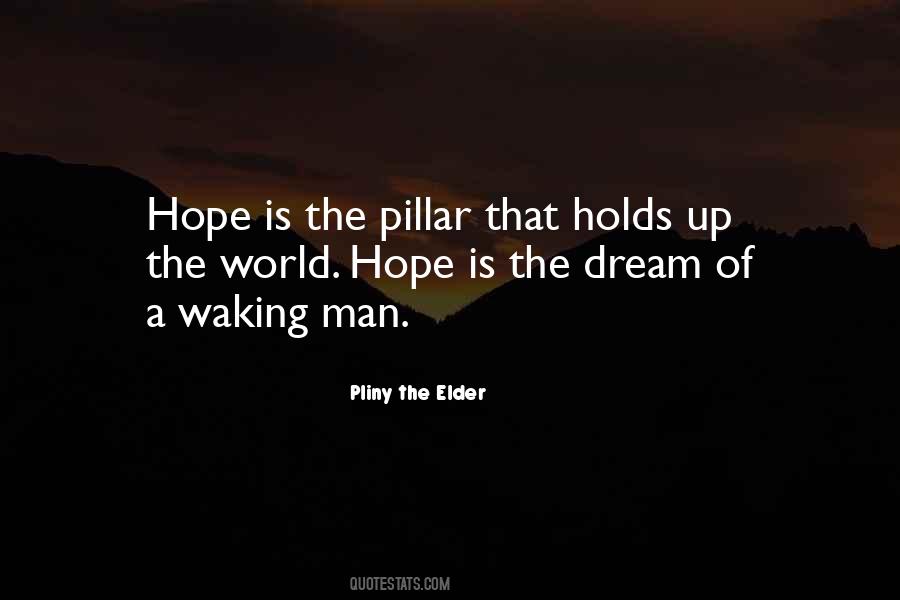 Pliny The Elder Quotes #1706415