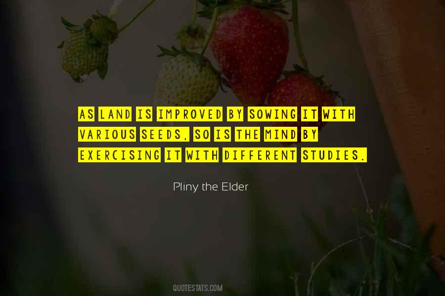 Pliny The Elder Quotes #595254