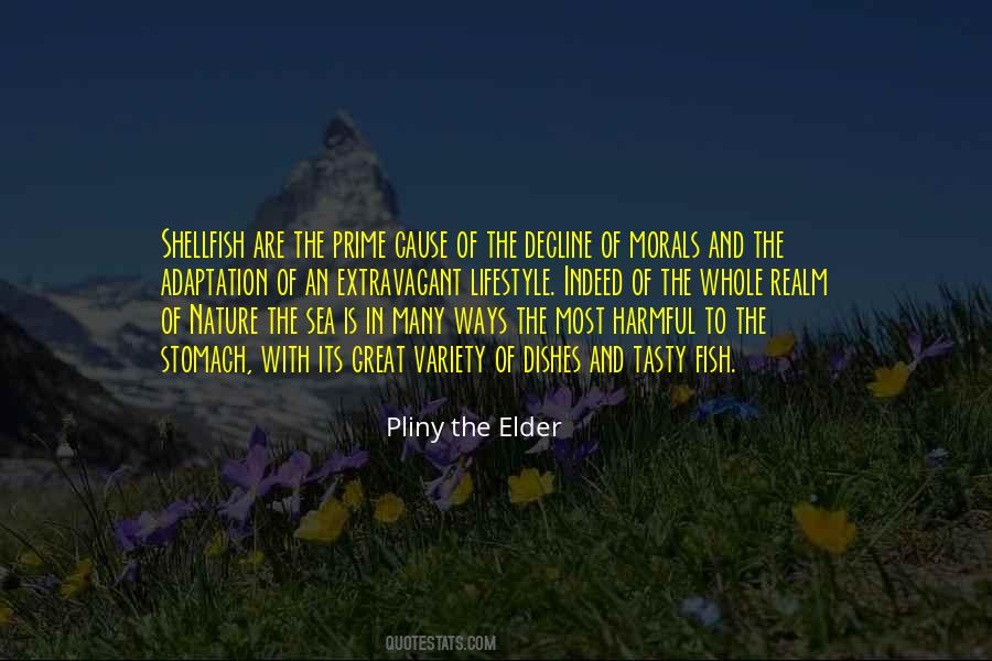 Pliny The Elder Quotes #894420