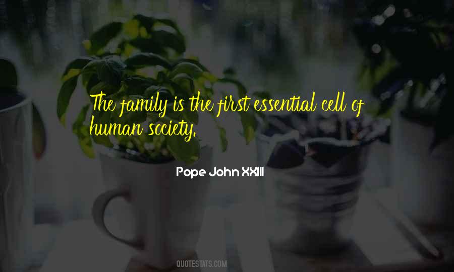 Pope John XXIII Quotes #593223