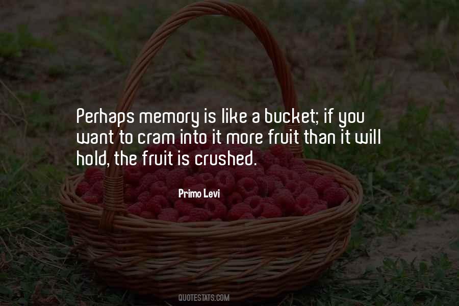 Primo Levi Quotes #1372743