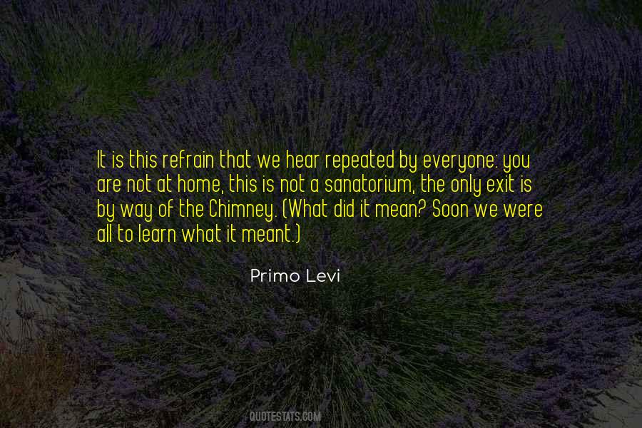 Primo Levi Quotes #45078