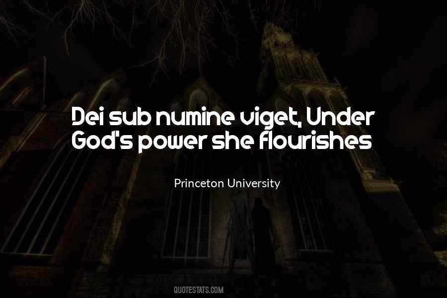 Princeton University Quotes #577582