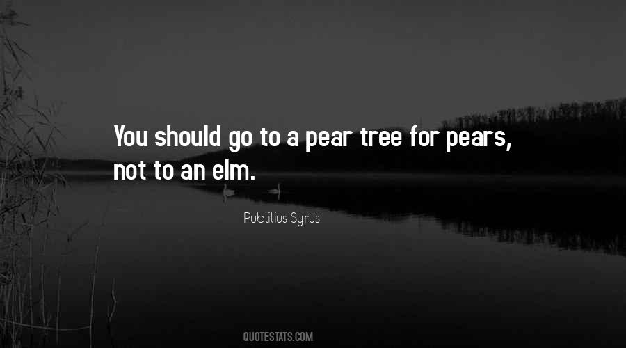 Publilius Syrus Quotes #1000720