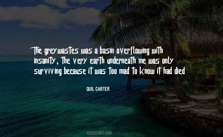 Quil Carter Quotes #1665208