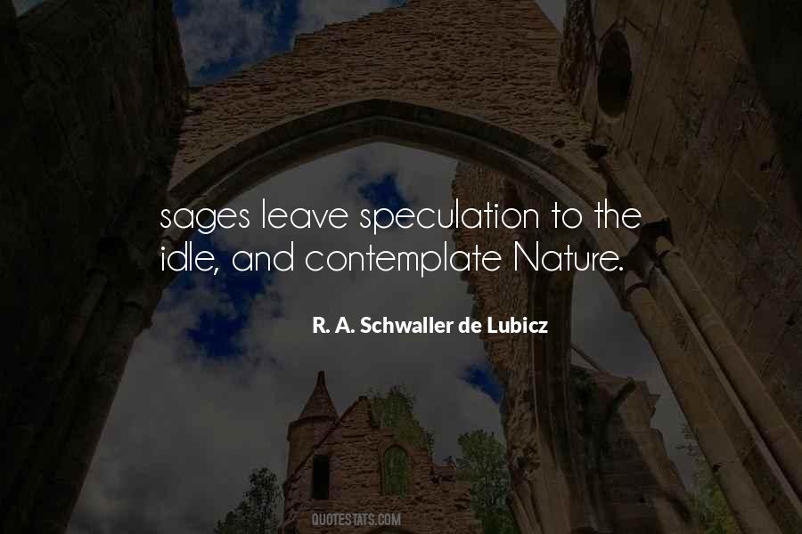 R. A. Schwaller De Lubicz Quotes #1010226