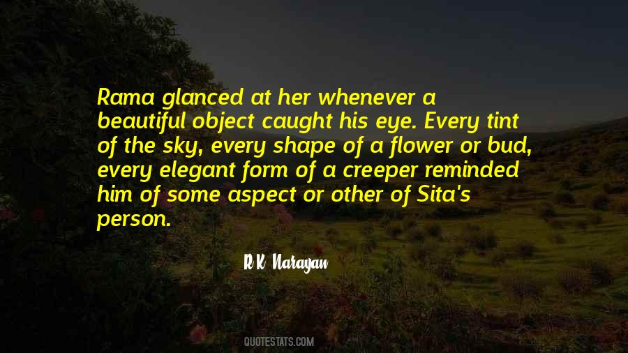 R.K. Narayan Quotes #939534