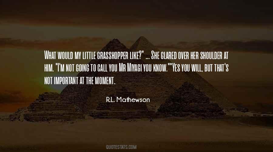 R.L. Mathewson Quotes #1235975