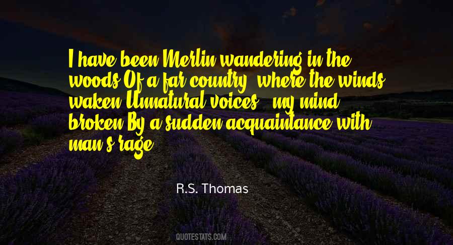 R.S. Thomas Quotes #65654