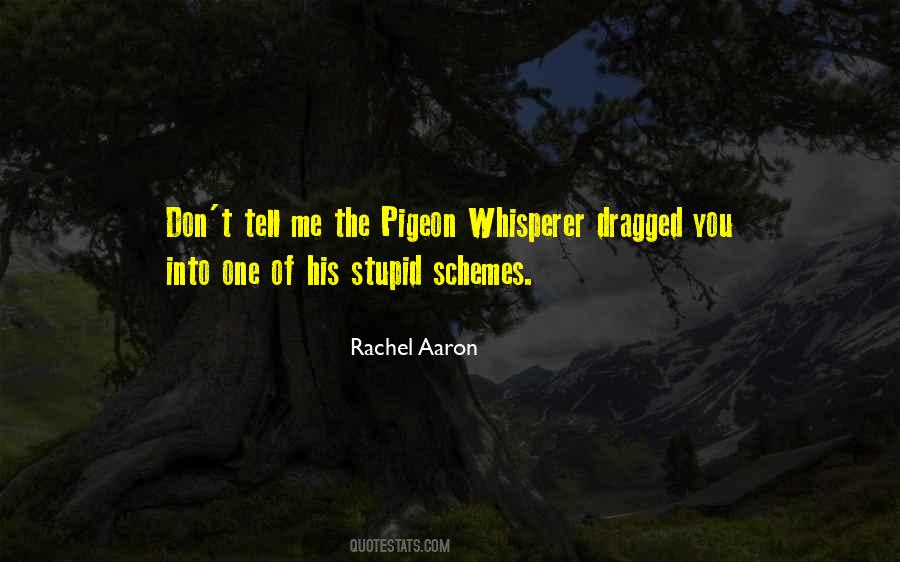 Rachel Aaron Quotes #1282702
