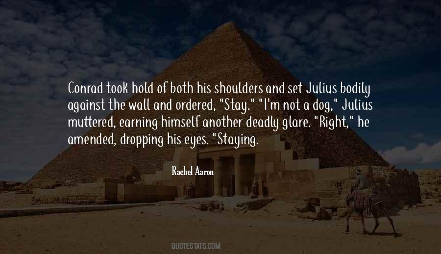 Rachel Aaron Quotes #1375671