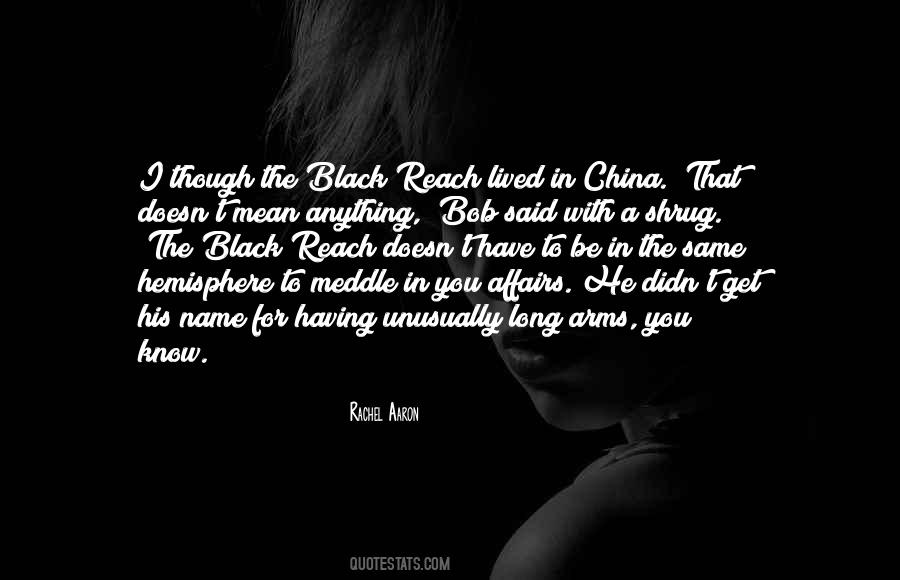 Rachel Aaron Quotes #930643