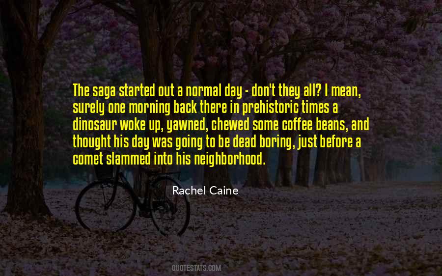 Rachel Caine Quotes #63756