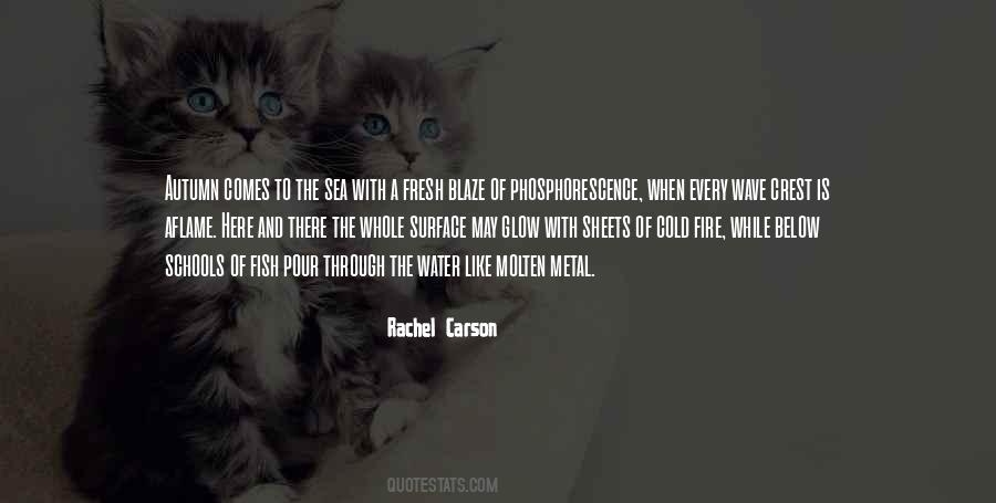 Rachel Carson Quotes #1797769