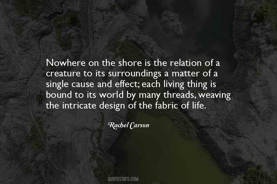 Rachel Carson Quotes #253491