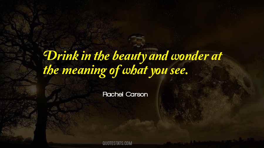 Rachel Carson Quotes #739572