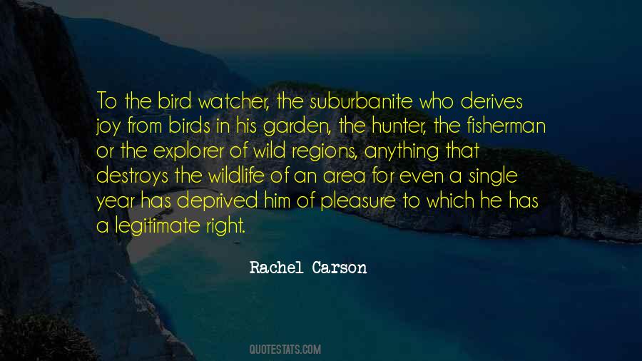 Rachel Carson Quotes #866100