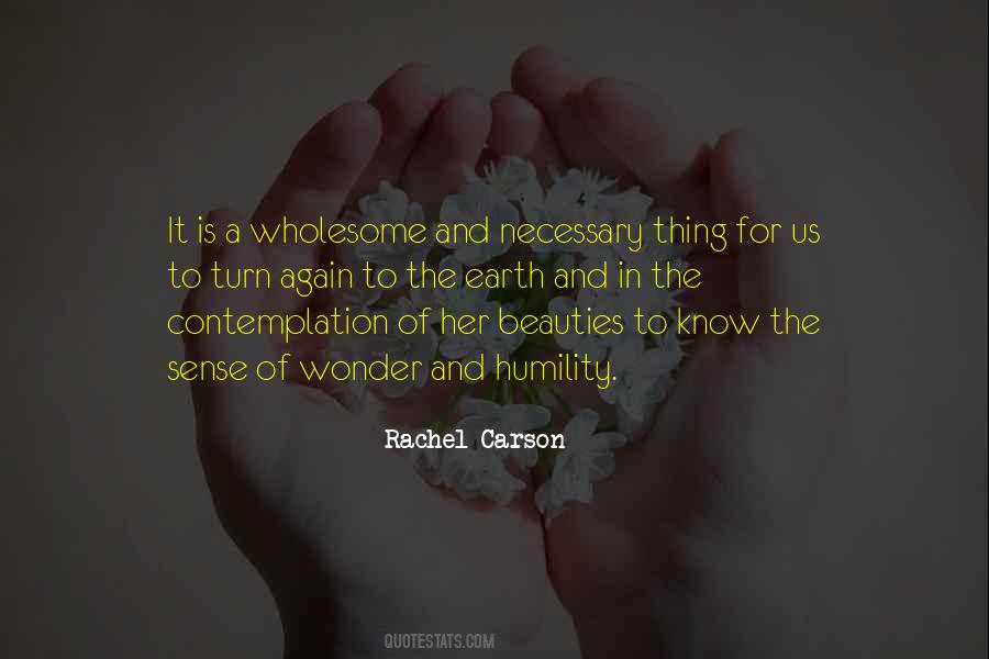 Rachel Carson Quotes #927694