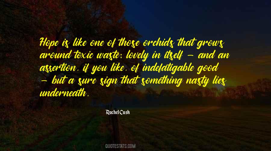 Rachel Cusk Quotes #1263975