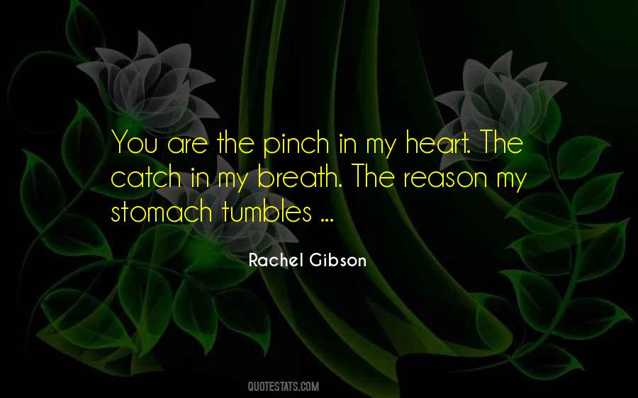 Rachel Gibson Quotes #1612688