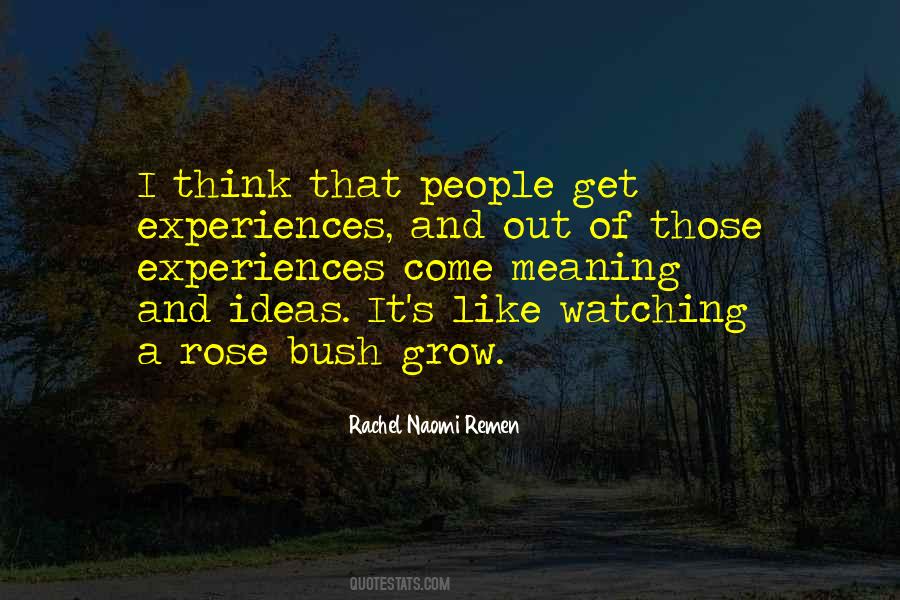Rachel Naomi Remen Quotes #400487